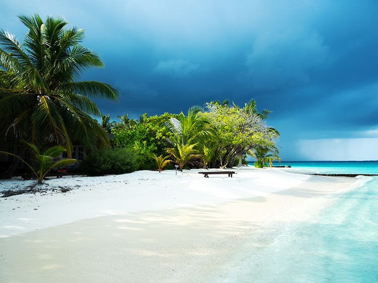pláž s lavičkou a palmami 