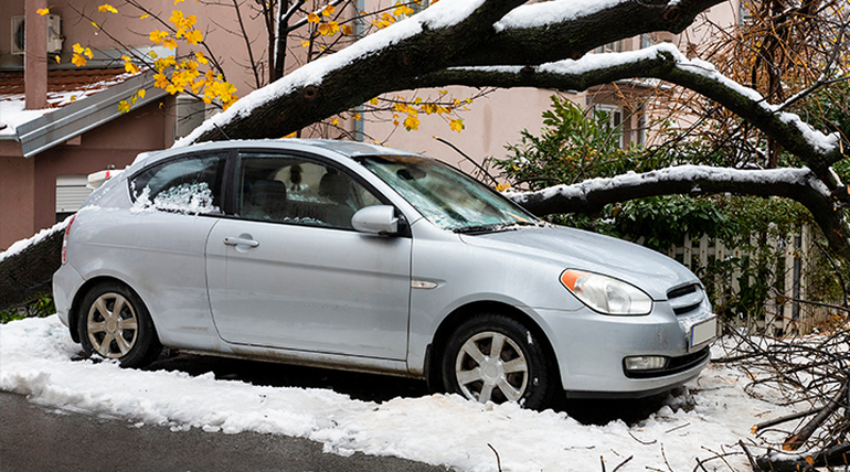 auto v snehu pod padnutým stromom