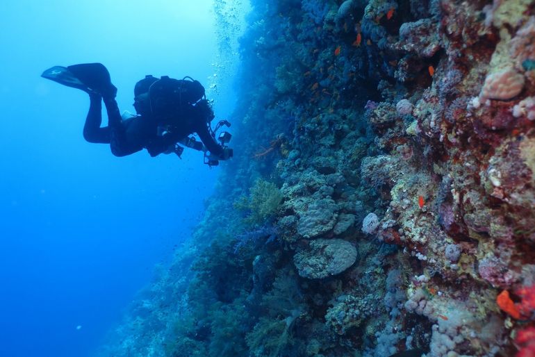 človek sa potápa vo vode pri koralovom útese 